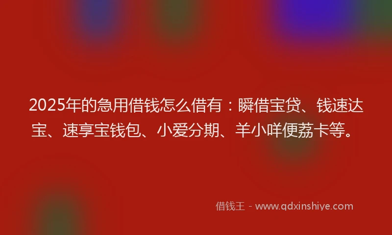 2025年的急用借钱怎么借有：瞬借宝贷、钱速达宝、速享宝钱包、小爱分期、羊小咩便荔卡等。