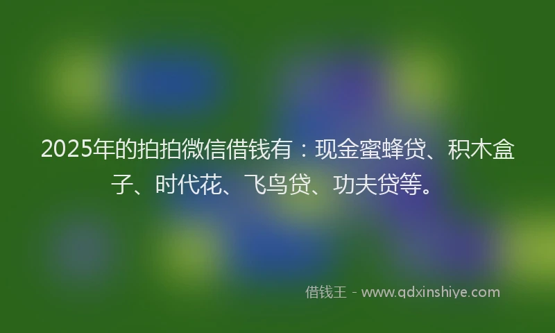 2025年的拍拍微信借钱有：现金蜜蜂贷、积木盒子、时代花、飞鸟贷、功夫贷等。