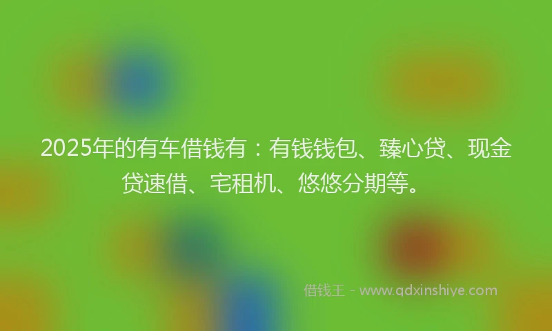 2025年的有车借钱有：有钱钱包、臻心贷、现金贷速借、宅租机、悠悠分期等。