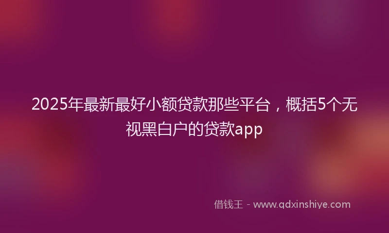 2025年最新最好小额贷款那些平台，概括5个无视黑白户的贷款app