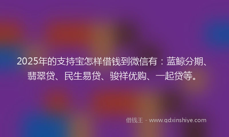 2025年的支持宝怎样借钱到微信有：蓝鲸分期、翡翠贷、民生易贷、骏祥优购、一起贷等。