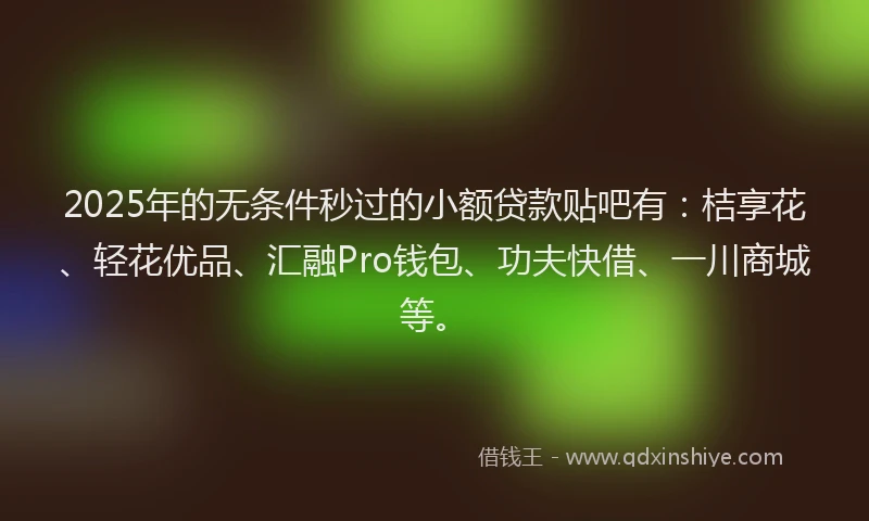 2025年的无条件秒过的小额贷款贴吧有：桔享花、轻花优品、汇融Pro钱包、功夫快借、一川商城等。