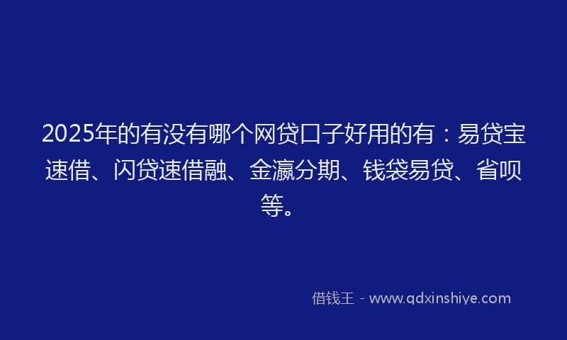 2025年的有没有哪个网贷口子好用的有：易贷宝速借、闪贷速借融、金瀛分期、钱袋易贷、省呗等。