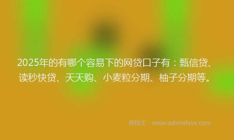 2025年的有哪个容易下的网贷口子有：甄信贷、读秒快贷、天天购、小麦粒分期、柚子分期等。