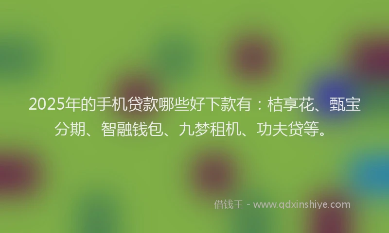 2025年的手机贷款哪些好下款有：桔享花、甄宝分期、智融钱包、九梦租机、功夫贷等。