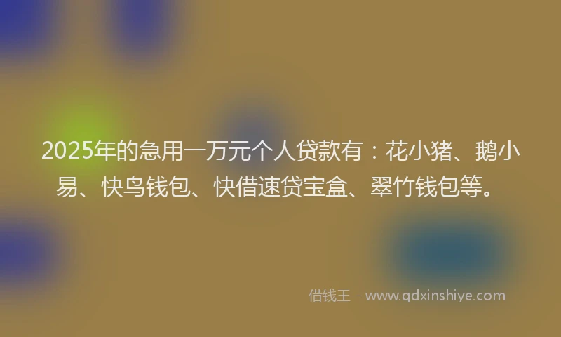 2025年的急用一万元个人贷款有：花小猪、鹅小易、快鸟钱包、快借速贷宝盒、翠竹钱包等。