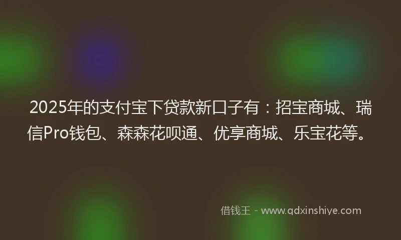 2025年的支付宝下贷款新口子有：招宝商城、瑞信Pro钱包、森森花呗通、优享商城、乐宝花等。