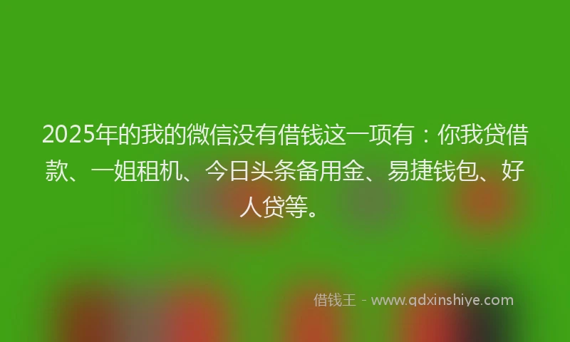 2025年的我的微信没有借钱这一项有：你我贷借款、一姐租机、今日头条备用金、易捷钱包、好人贷等。