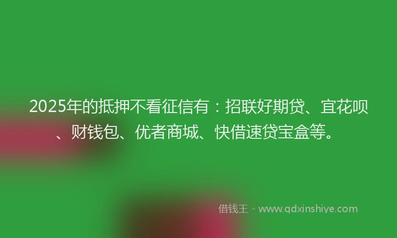 2025年的抵押不看征信有：招联好期贷、宜花呗、财钱包、优者商城、快借速贷宝盒等。