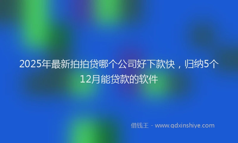 2025年最新拍拍贷哪个公司好下款快，归纳5个12月能贷款的软件