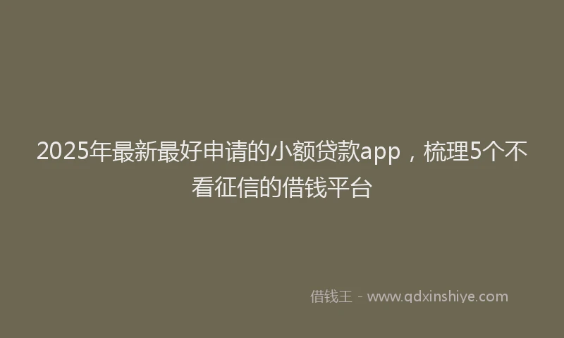 2025年最新最好申请的小额贷款app，梳理5个不看征信的借钱平台