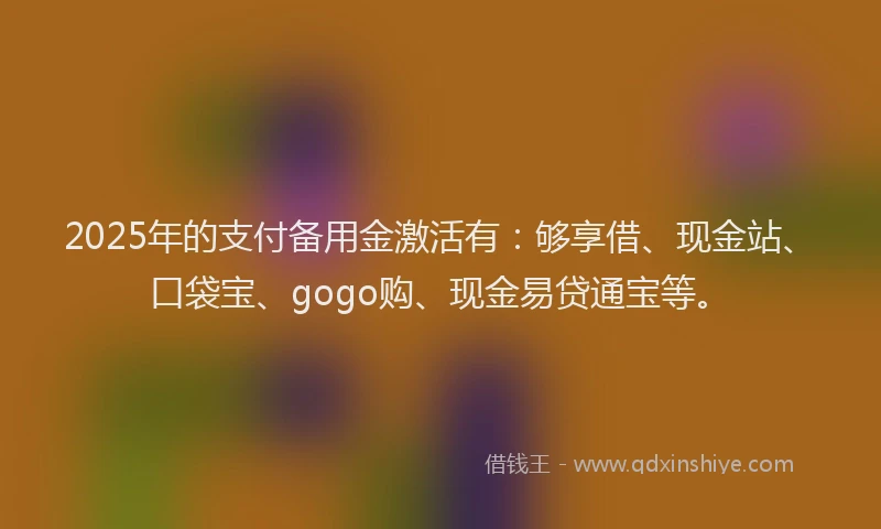 2025年的支付备用金激活有：够享借、现金站、口袋宝、gogo购、现金易贷通宝等。