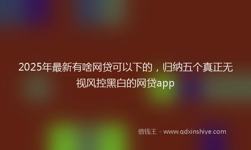 2025年最新有啥网贷可以下的，归纳五个真正无视风控黑白的网贷app