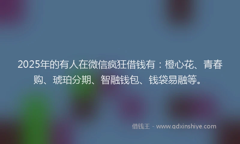 2025年的有人在微信疯狂借钱有：橙心花、青春购、琥珀分期、智融钱包、钱袋易融等。