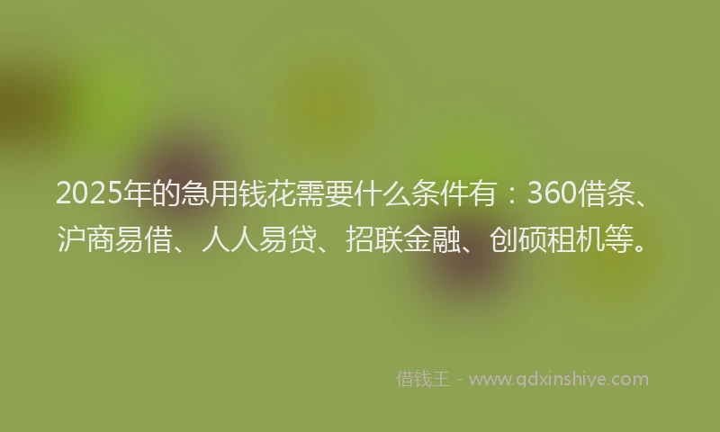 2025年的急用钱花需要什么条件有：360借条、沪商易借、人人易贷、招联金融、创硕租机等。