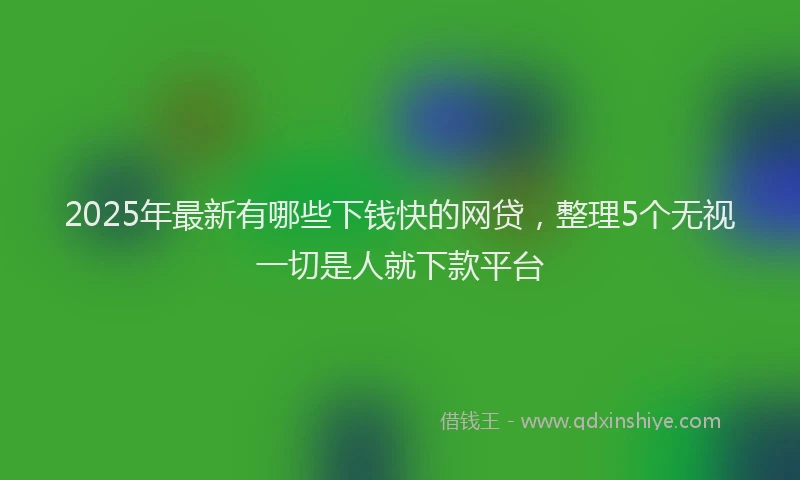 2025年最新有哪些下钱快的网贷，整理5个无视一切是人就下款平台