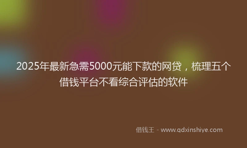 2025年最新急需5000元能下款的网贷，梳理五个借钱平台不看综合评估的软件