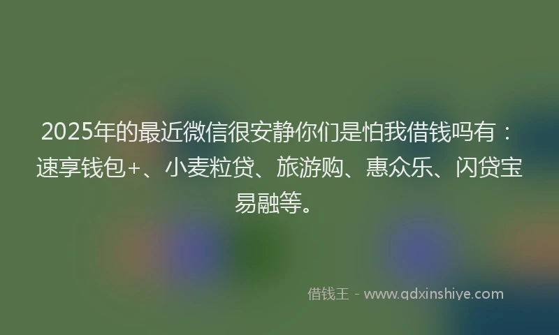 2025年的最近微信很安静你们是怕我借钱吗有：速享钱包+、小麦粒贷、旅游购、惠众乐、闪贷宝易融等。