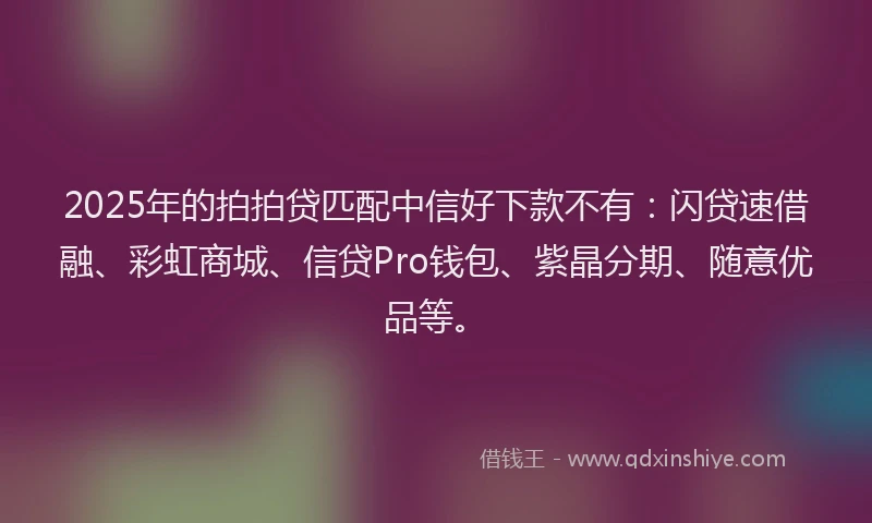 2025年的拍拍贷匹配中信好下款不有：闪贷速借融、彩虹商城、信贷Pro钱包、紫晶分期、随意优品等。