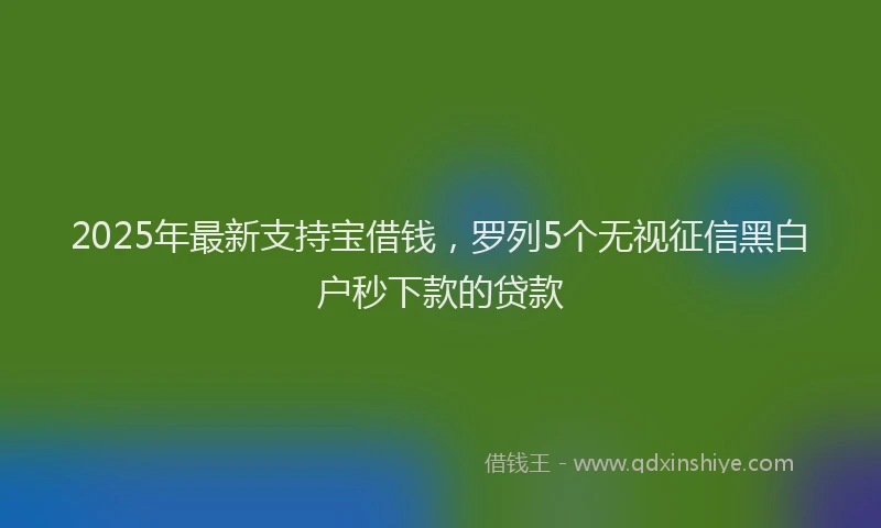 2025年最新支持宝借钱，罗列5个无视征信黑白户秒下款的贷款