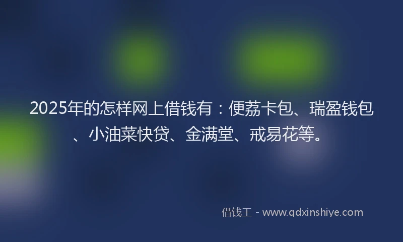 2025年的怎样网上借钱有：便荔卡包、瑞盈钱包、小油菜快贷、金满堂、戒易花等。