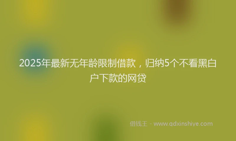 2025年最新无年龄限制借款，归纳5个不看黑白户下款的网贷