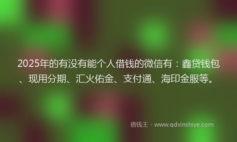 2025年的有没有能个人借钱的微信有：鑫贷钱包、现用分期、汇火佑金、支付通、海印金服等。