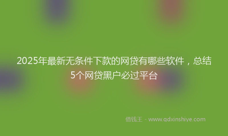 2025年最新无条件下款的网贷有哪些软件，总结5个网贷黑户必过平台