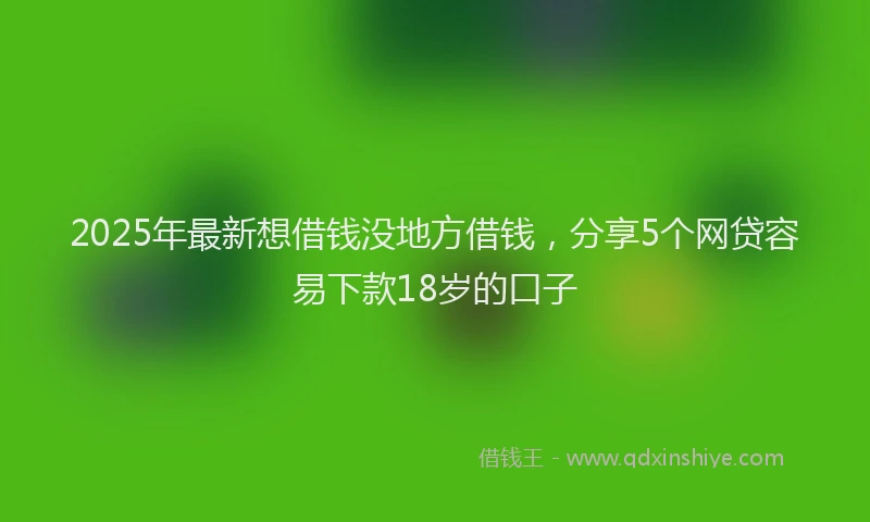 2025年最新想借钱没地方借钱，分享5个网贷容易下款18岁的口子