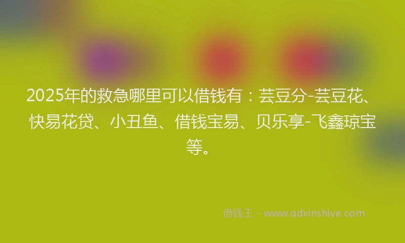 2025年的救急哪里可以借钱有：芸豆分-芸豆花、快易花贷、小丑鱼、借钱宝易、贝乐享-飞鑫琼宝等。