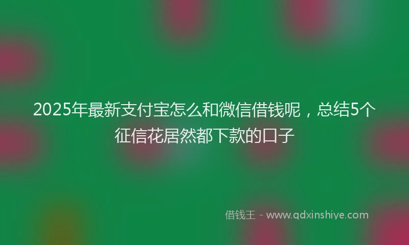2025年最新支付宝怎么和微信借钱呢，总结5个征信花居然都下款的口子