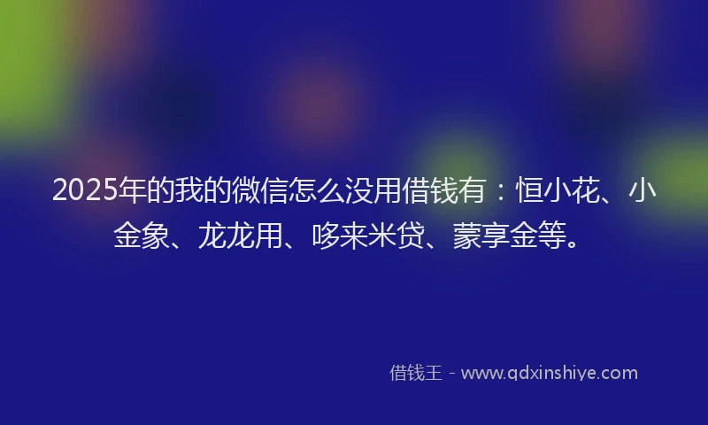 2025年的我的微信怎么没用借钱有：恒小花、小金象、龙龙用、哆来米贷、蒙享金等。