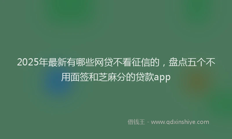2025年最新有哪些网贷不看征信的，盘点五个不用面签和芝麻分的贷款app