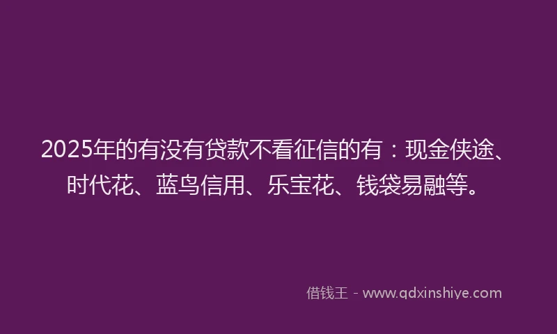 2025年的有没有贷款不看征信的有：现金侠途、时代花、蓝鸟信用、乐宝花、钱袋易融等。