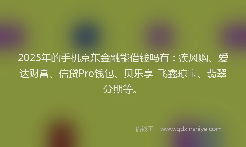 2025年的手机京东金融能借钱吗有：疾风购、爱达财富、信贷Pro钱包、贝乐享-飞鑫琼宝、翡翠分期等。