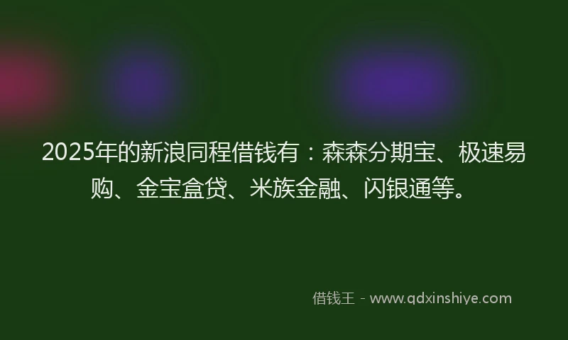 2025年的新浪同程借钱有：森森分期宝、极速易购、金宝盒贷、米族金融、闪银通等。