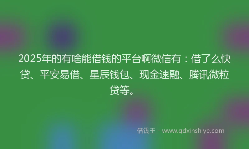2025年的有啥能借钱的平台啊微信有：借了么快贷、平安易借、星辰钱包、现金速融、腾讯微粒贷等。