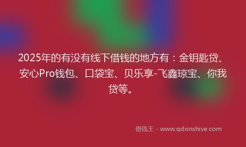 2025年的有没有线下借钱的地方有：金钥匙贷、安心Pro钱包、口袋宝、贝乐享-飞鑫琼宝、你我贷等。