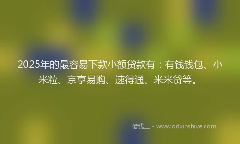 2025年的最容易下款小额贷款有：有钱钱包、小米粒、京享易购、速得通、米米贷等。