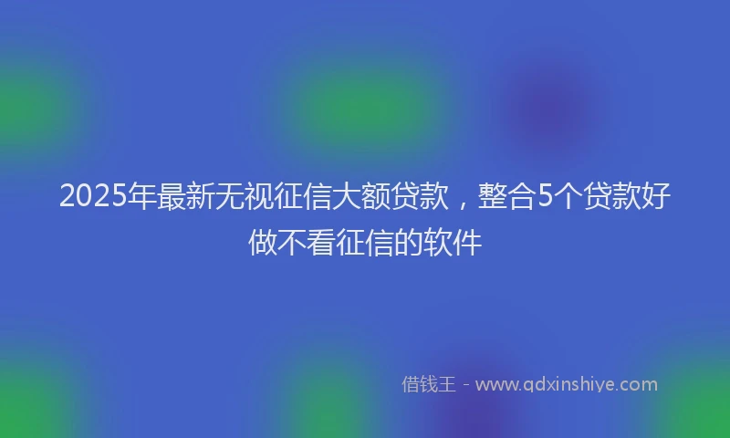 2025年最新无视征信大额贷款，整合5个贷款好做不看征信的软件
