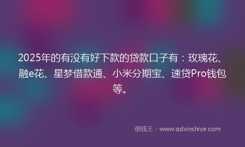2025年的有没有好下款的贷款口子有：玫瑰花、融e花、星梦借款通、小米分期宝、速贷Pro钱包等。