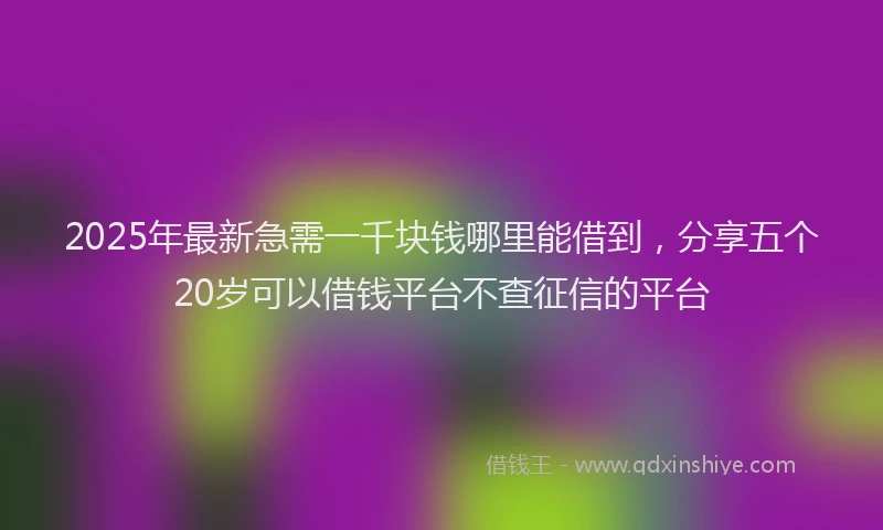 2025年最新急需一千块钱哪里能借到，分享五个20岁可以借钱平台不查征信的平台
