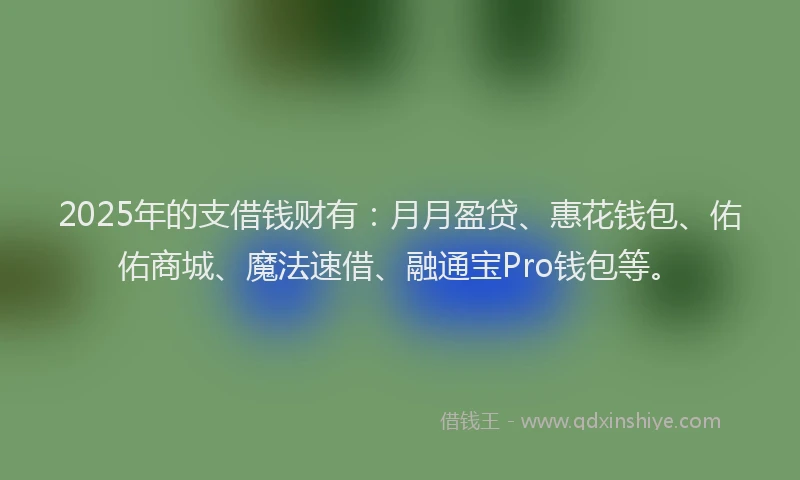 2025年的支借钱财有：月月盈贷、惠花钱包、佑佑商城、魔法速借、融通宝Pro钱包等。