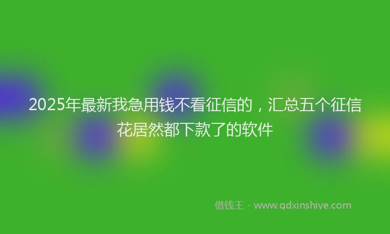 2025年最新我急用钱不看征信的，汇总五个征信花居然都下款了的软件