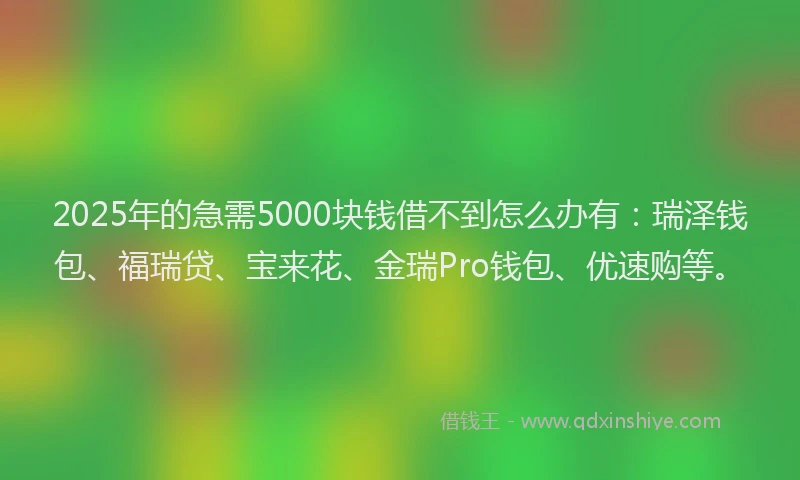 2025年的急需5000块钱借不到怎么办有：瑞泽钱包、福瑞贷、宝来花、金瑞Pro钱包、优速购等。