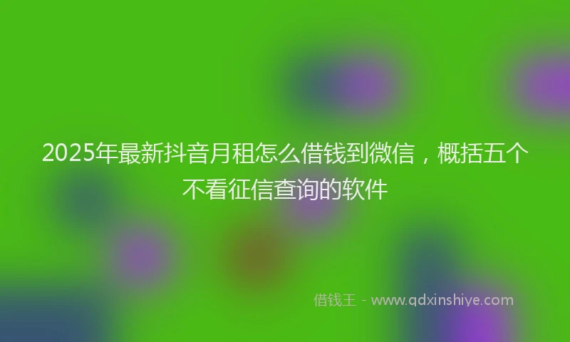2025年最新抖音月租怎么借钱到微信，概括五个不看征信查询的软件
