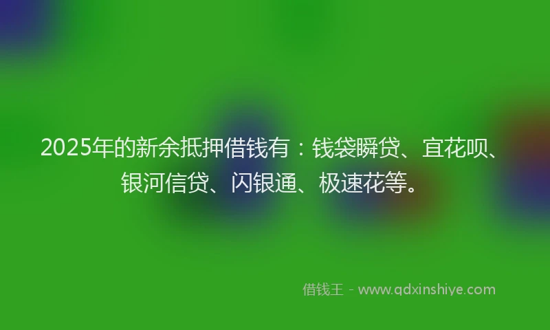 2025年的新余抵押借钱有：钱袋瞬贷、宜花呗、银河信贷、闪银通、极速花等。