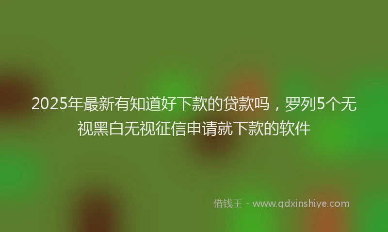 2025年最新有知道好下款的贷款吗，罗列5个无视黑白无视征信申请就下款的软件