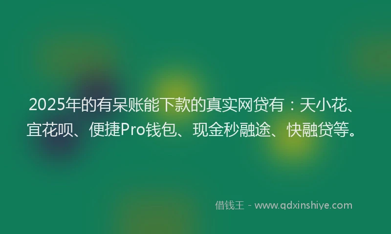 2025年的有呆账能下款的真实网贷有：天小花、宜花呗、便捷Pro钱包、现金秒融途、快融贷等。