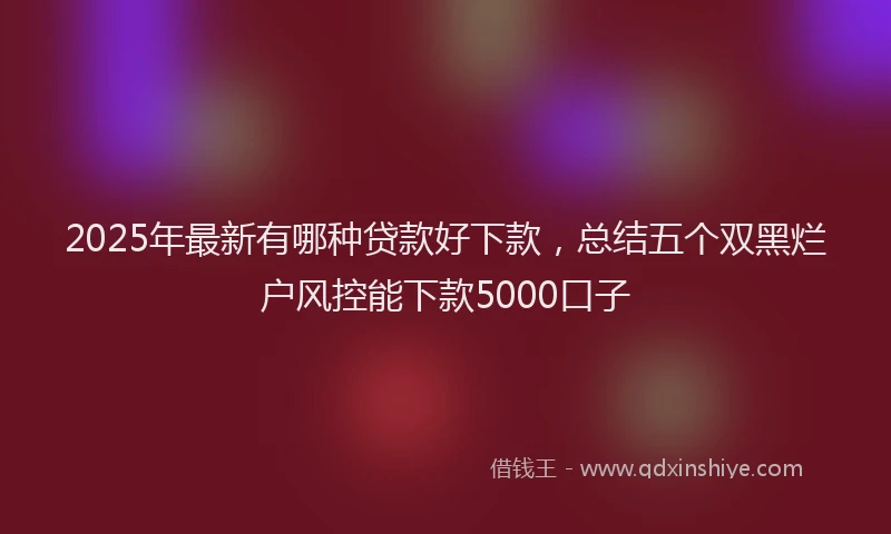 2025年最新有哪种贷款好下款，总结五个双黑烂户风控能下款5000口子